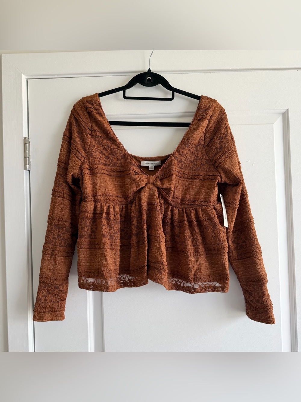 Francesca’s Brown Lace Striped Long Sleeve Crop Top